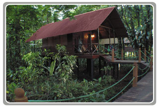 Evergreen Lodge
